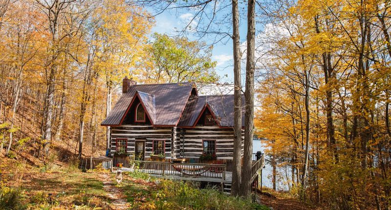 A longevity expert says he lowered his biological age by moving his entire family to the forest