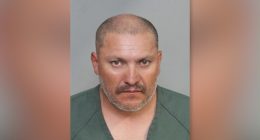 Accused 'serial cat killer' charged in violent California crime spree