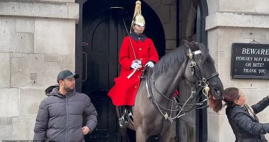 Watch your pony tail! Some tourists have been known to ignore signs warning them that the Guard horse can bite or kick