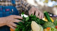 America First Policy Institute Unveils Brief for Making America Healthy