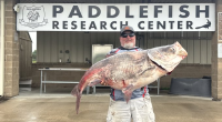 Angler breaks his own record with massive invasive species catch