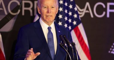 Biden's decline 'profound': Hawaii Gov. Josh Green