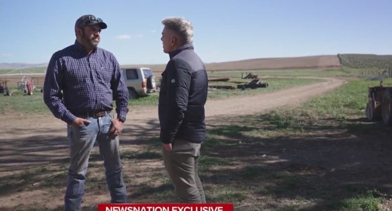 Biden's race-based loan program hurt white farmers: Whistleblower
