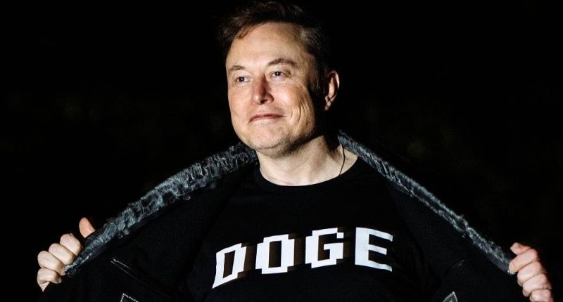 Bill Gates says Elon Musk is 'killing the world's poorest children' in extraordinary attack after DOGE closed US aid agency