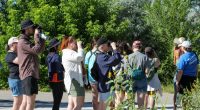 Birdwatching takes off in Utah among Millennial and Gen Z