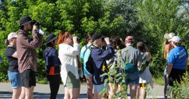 Birdwatching takes off in Utah among Millennial and Gen Z