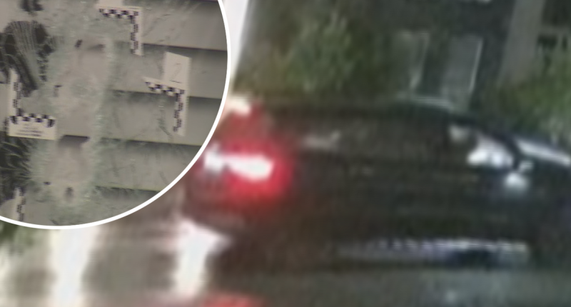 CCTV captures shooters unloading at Sydney house before fleeing