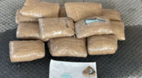 California border officers confiscate $29 million in illicit drugs in April