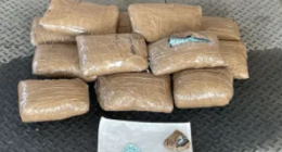 California border officers confiscate $29 million in illicit drugs in April