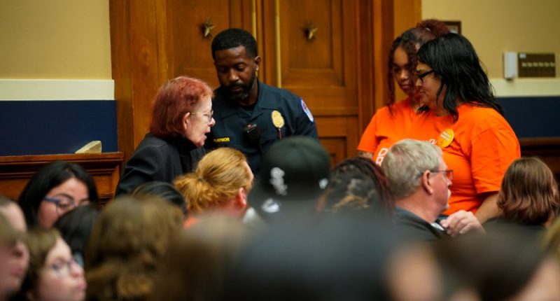 Capitol Police arrest more than 25 as Medicaid activists interrupt committee