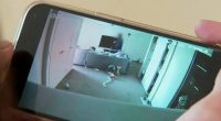Cat camera captures two thieves ransacking home