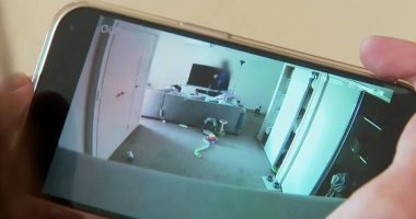 Cat camera captures two thieves ransacking home