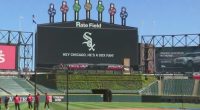 Chicago planning special Mass for pope at White Sox ballpark