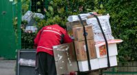 Chinese Slavery-Linked Temu Halts Shipments from China to U.S.