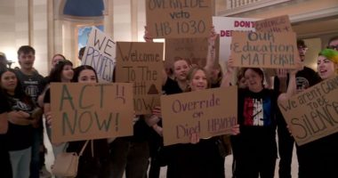Cosmetologists try to convince lawmakers to override governor's veto