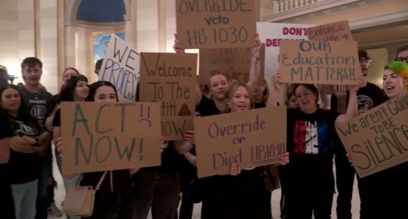 Cosmetologists try to convince lawmakers to override governor's veto