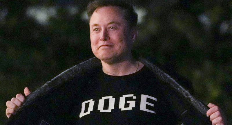 DOGE loses its head Elon Musk but his 'super-genius' nerd army troops are now inside the deep state