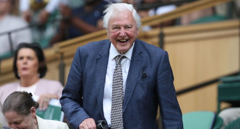 David Attenborough credits his health and vigour to diet choice as 99th birthday nears