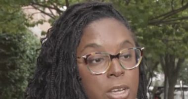 Dem Rep. McIver: 'I Did Not Body Slam Anyone,' ICE 'Created that Confrontation'