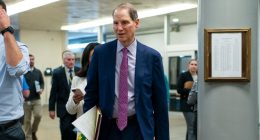 Democratic senator says he has recordings of favors 'promised' by Trump's IRS pick
