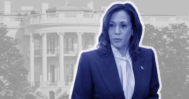 Democrats cautiously open door to another Harris run in 2028