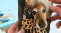 Brian Roby holds a picture of his dog Kali, who passed away in 2024. (KXAN Photo/Ed Zavala)