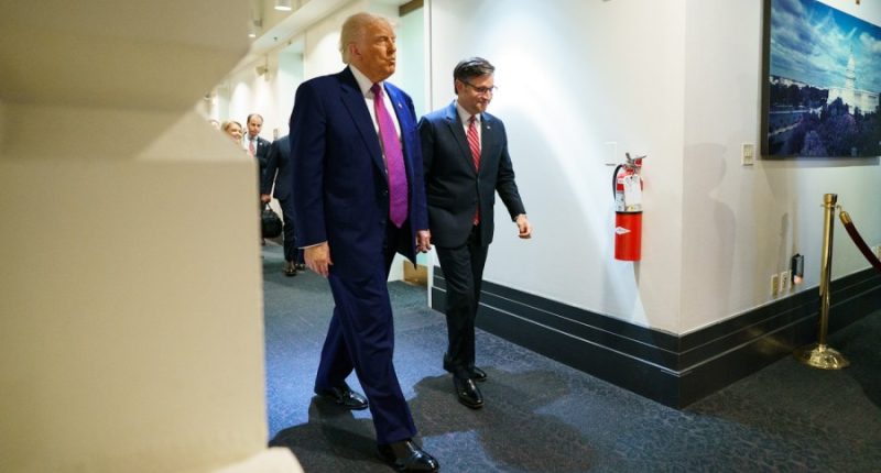 Donald Trump pitch fails to move GOP holdouts on 'big, beautiful bill'