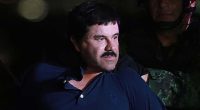 El Chapo's relatives enter US as part of plea deal for drug baron's son