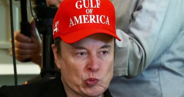 Elon Musk humiliated after his AI says Tesla's robot has 'limited' use