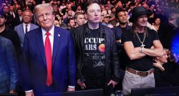Elon Musk wants to build a Tesla factory that will create 100 jobs in Australia - and NIMBYs are furious