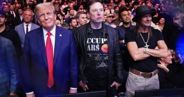 Elon Musk wants to build a Tesla factory that will create 100 jobs in Australia - and NIMBYs are furious