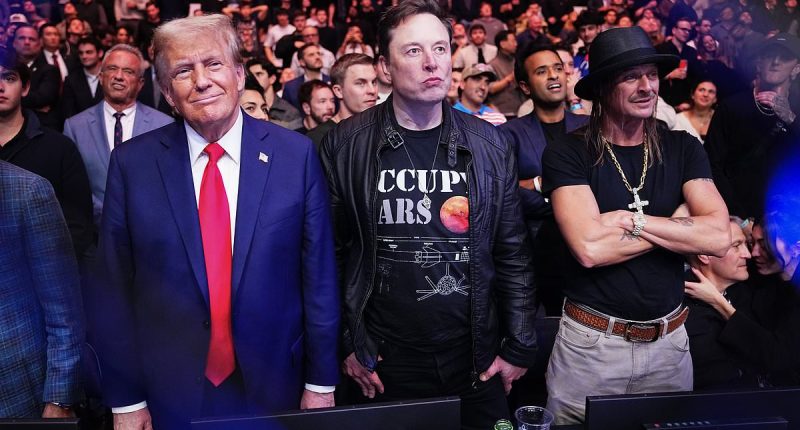 Elon Musk wants to build a Tesla factory that will create 100 jobs in Australia - and NIMBYs are furious