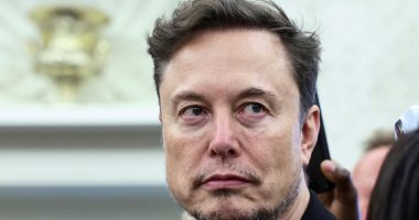 Elon Musk's Viral face reaction to Trump-South Africa clash