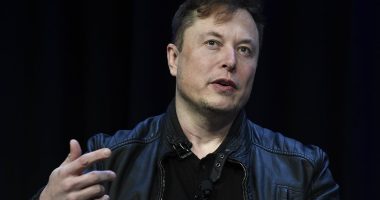 Elon Musk's dad Errol reveals his prostate cancer diagnosis for the first time after routine check as he backs Mail's screening campaign