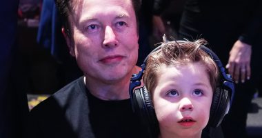 Elon Musk's greatest fear realized as young adults find a replacement for 'burdensome' babies