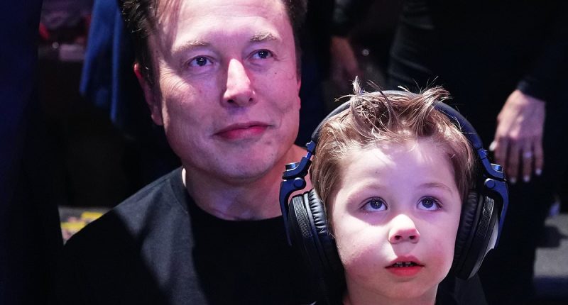 Elon Musk's greatest fear realized as young adults find a replacement for 'burdensome' babies