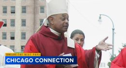 Englewood, Chicago native Cardinal Wilton Gregory, 1st African American cardinal in US, prepares for largest-ever papal conclave
