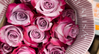 Florists feel the pinch as tariffs hit during busiest time of year