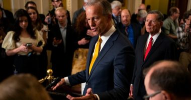 GOP senators hope to avoid Trump agenda becoming a 'train wreck'