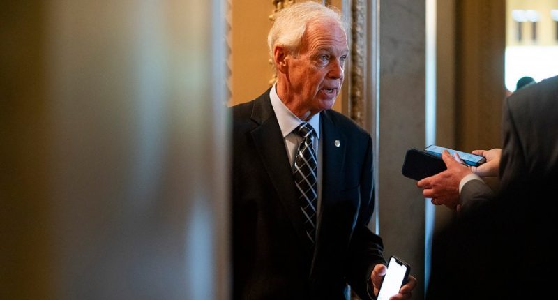GOP senators say Trump's 'big, beautiful bill' needs deeper cuts