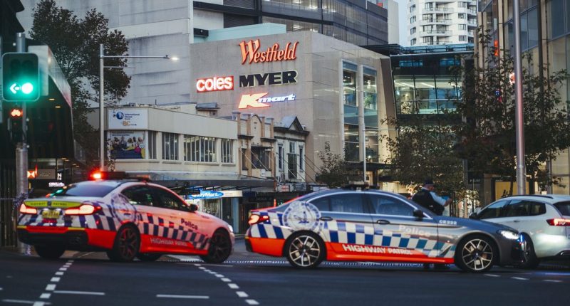 Grief, pain, anger: families of Bondi victims speak out