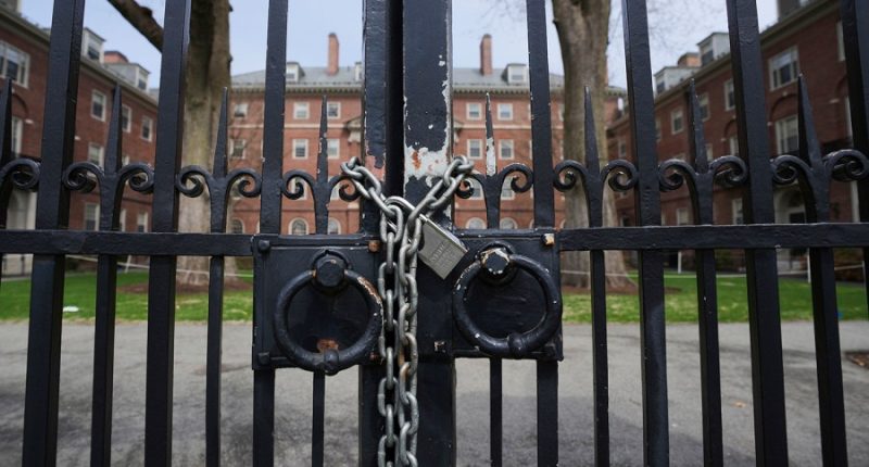 Harvard faces growing calls to tap into its endowment in Trump fight. It won't be easy