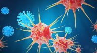 Hepatitis A is now considered to be an outbreak in Los Angeles