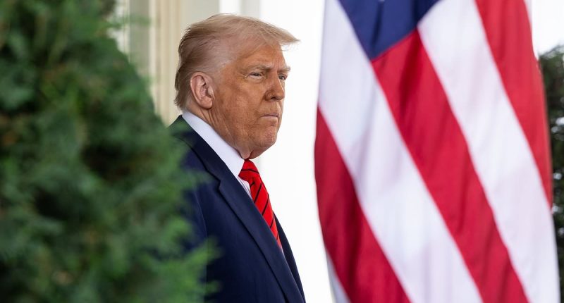 How Canadians really feel about America - and Trump - revealed in new poll