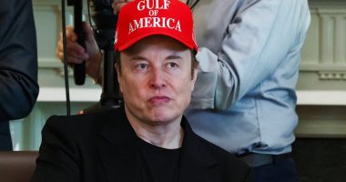 How Elon Musk's influence over Trump's administration is slowly fizzling out as even his DOGE caucus is declared 'dead'