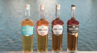How Two Entrepreneurs Turned Vida Caña Into An Award-Winning Craft Rum Brand