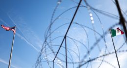 ICE use of National Guard would need states' OK: Border official