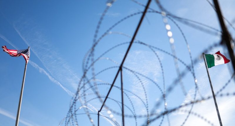 ICE use of National Guard would need states' OK: Border official