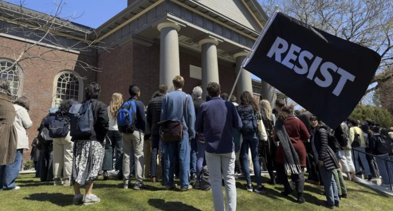 International students scramble as Trump signals nowhere is safe