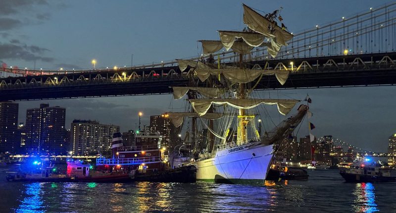 Investigation reveals cause of Brooklyn Bridge crash that killed two